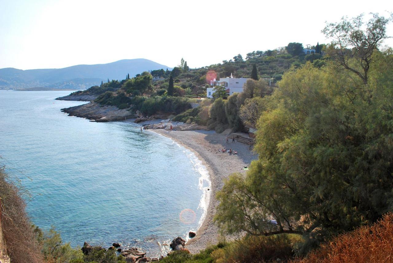 Villa Liana : Luxury Villa With Fantastic Sea View, Near Airport Pórto Ráfti 外观 照片