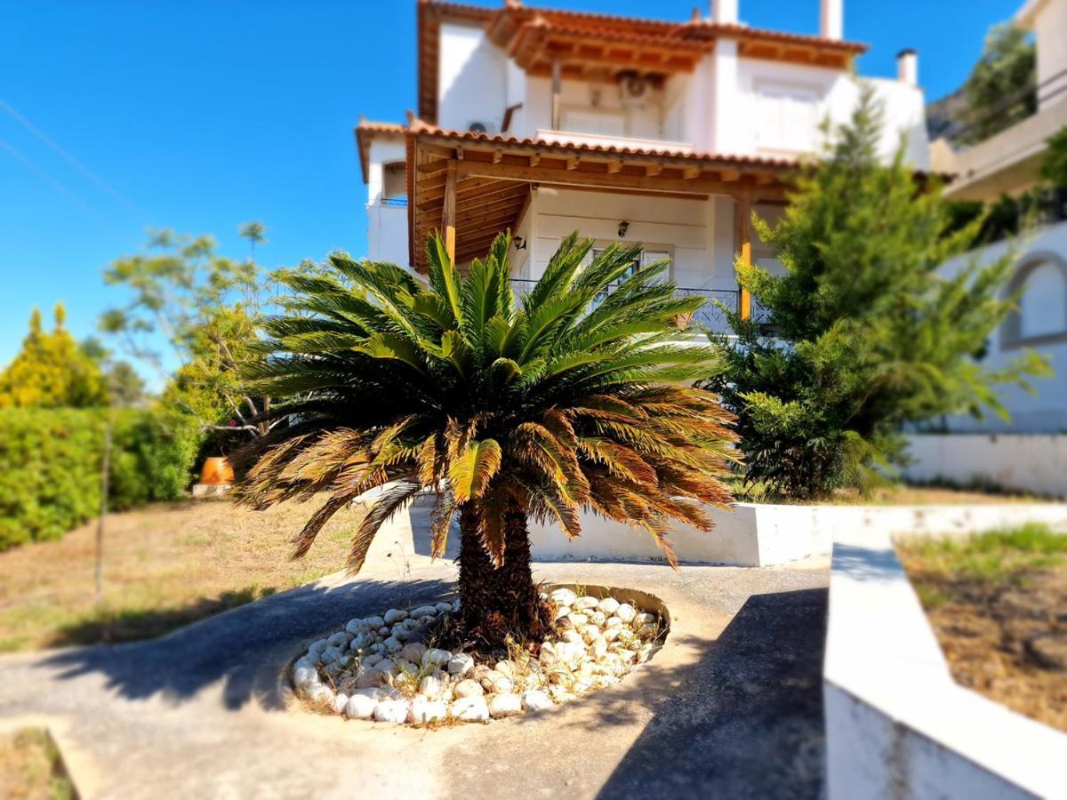 Villa Liana : Luxury Villa With Fantastic Sea View, Near Airport Pórto Ráfti 外观 照片