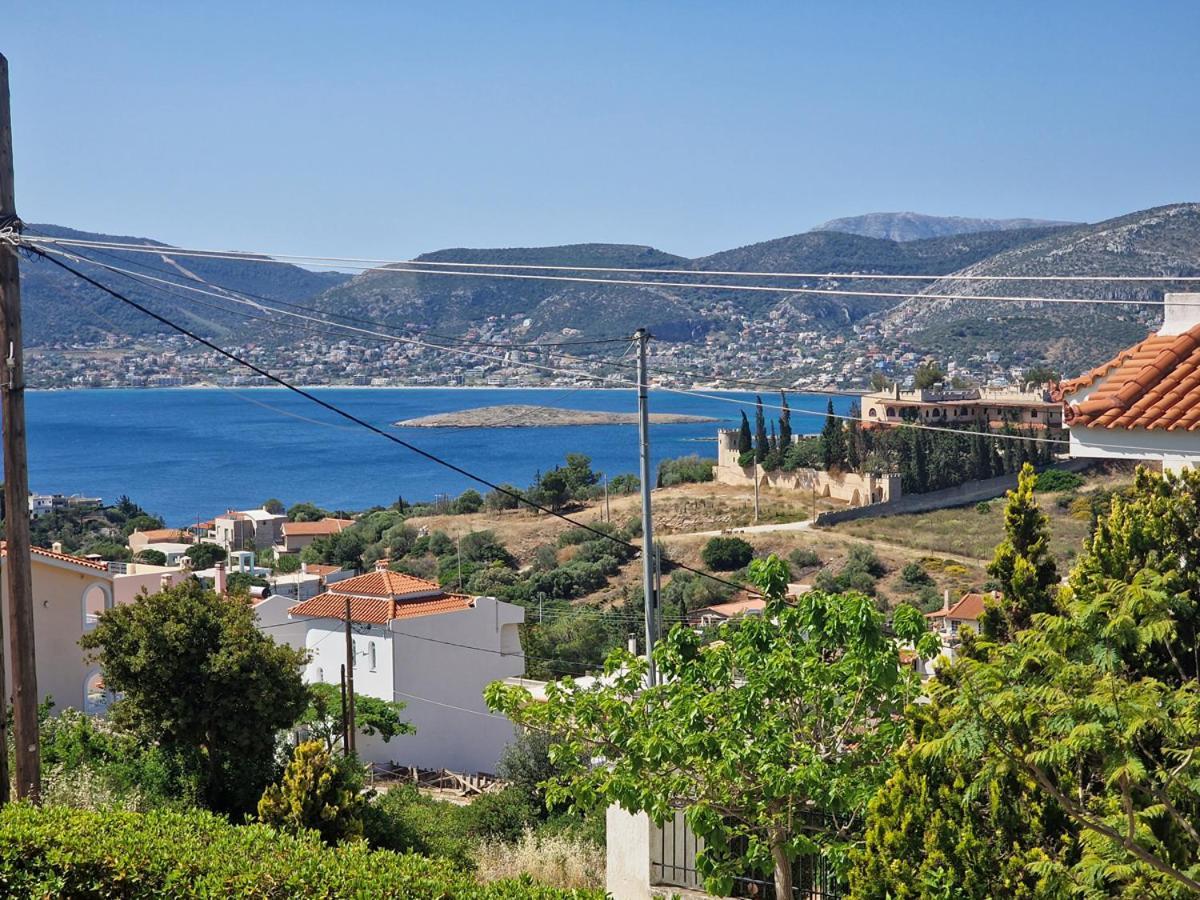 Villa Liana : Luxury Villa With Fantastic Sea View, Near Airport Pórto Ráfti 外观 照片