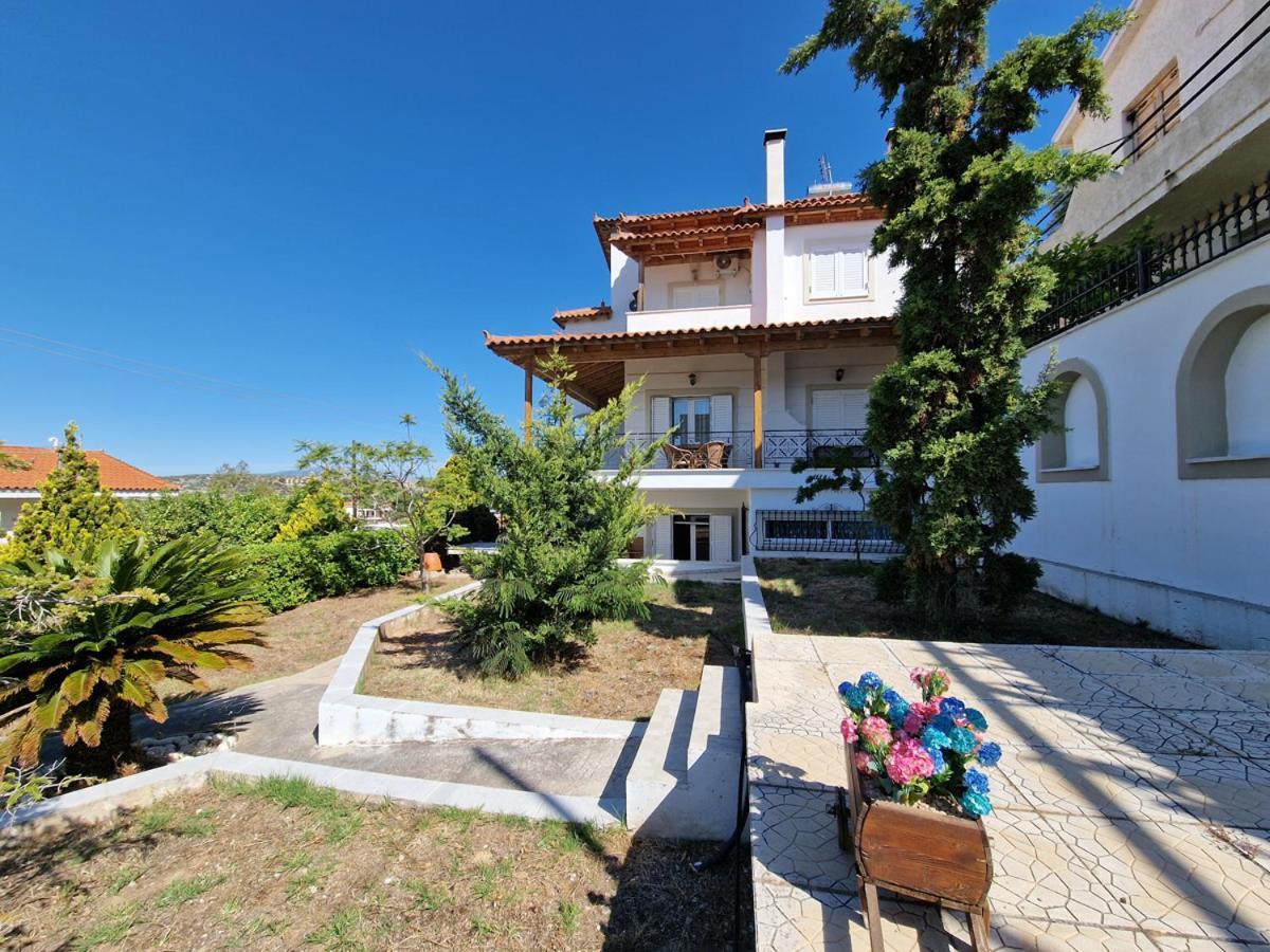 Villa Liana : Luxury Villa With Fantastic Sea View, Near Airport Pórto Ráfti 外观 照片