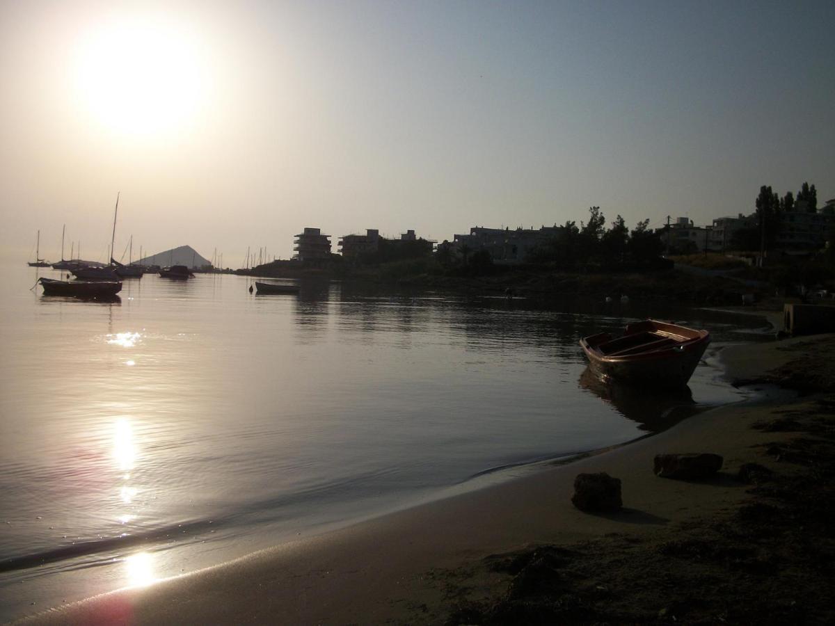 Villa Liana : Luxury Villa With Fantastic Sea View, Near Airport Pórto Ráfti 外观 照片