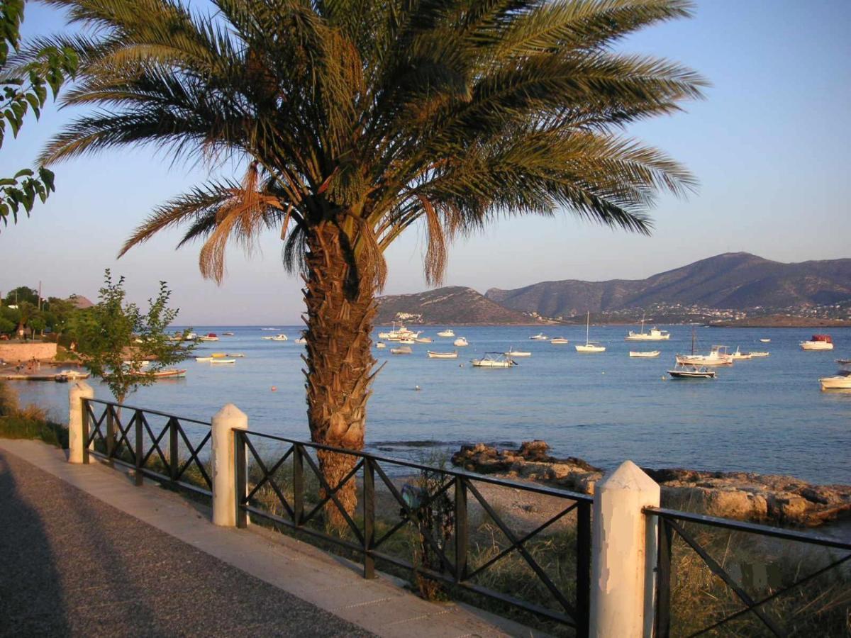Villa Liana : Luxury Villa With Fantastic Sea View, Near Airport Pórto Ráfti 外观 照片